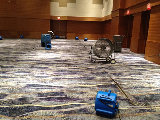 Commercial Carpet Cleanup Experts