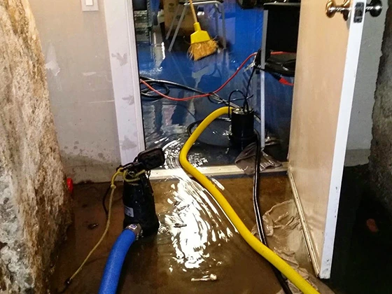 Expert Basement Water Damage Repairing