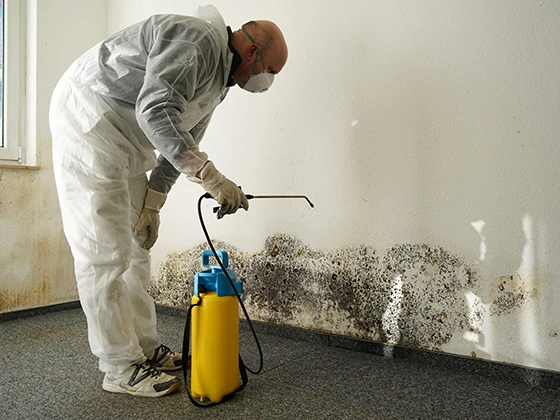 Mold inspection and remediation