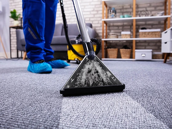 Affordable Carpet Cleanup services