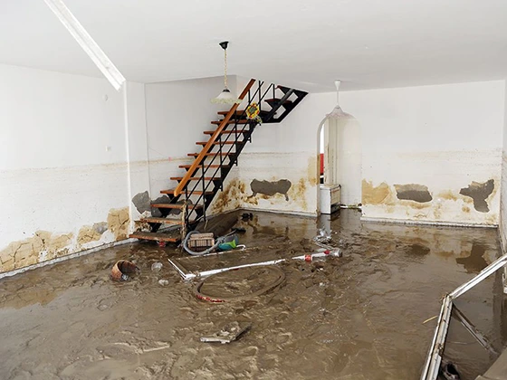 Waterlogged Property Cleanup