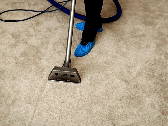 Professional Carpet Cleanup Services