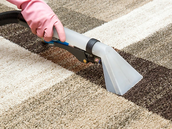 Residential Carpet Cleanup Experts