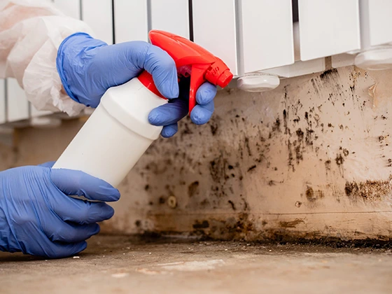 Residential mold remediation